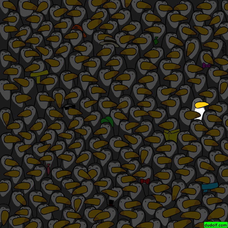 Solucion acertijo Solucion acertijo