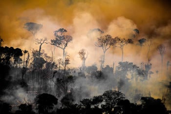 Incendios Amazonas