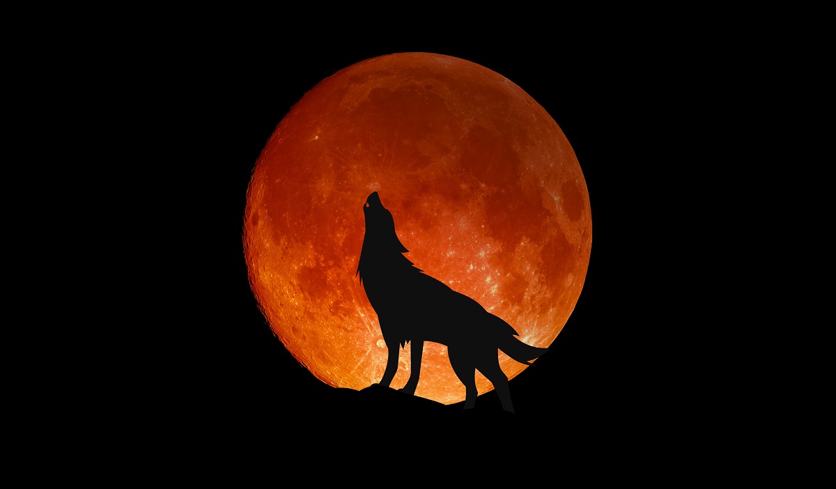 Luna llena Luna llena