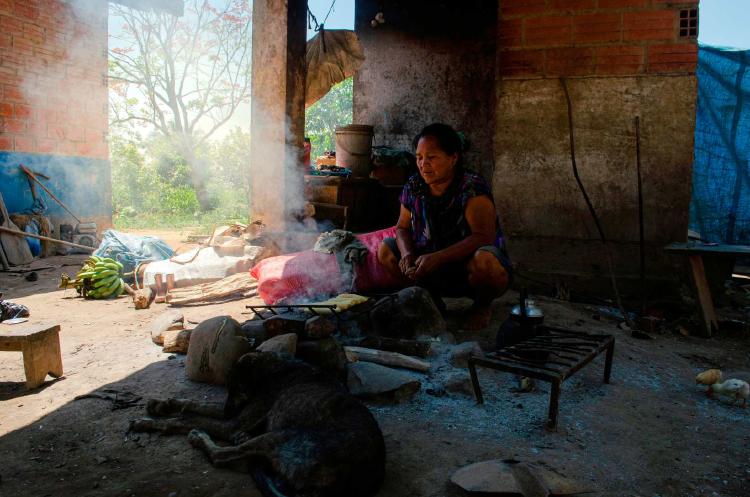Río Beni una mujer Esse Ejja prepara la comida con leña y una pequeña parrilla. Una mujer Esse Ejja prepara la comida con leña y una pequeña parrilla.