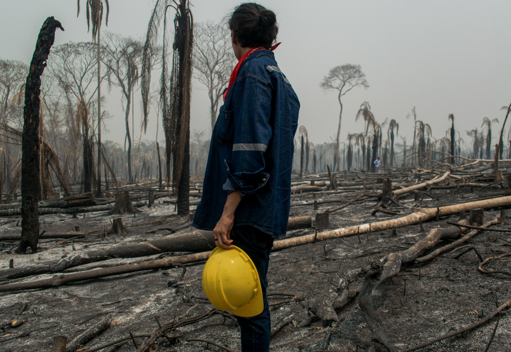 amazonia boliviana quemada amazonia boliviana quemada