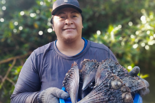 pescadoras En un oficio históricamente masculino, un grupo de mujeres pescadoras en Sinaloa impulsa la pesca artesanal con enfoque ambiental y comunitario. (Fuente: mongabay.com)