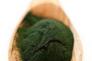 polvo verde Polvos verdes: ¿superalimento o riesgo invisible para tu salud? (Imagen: Pinterest)