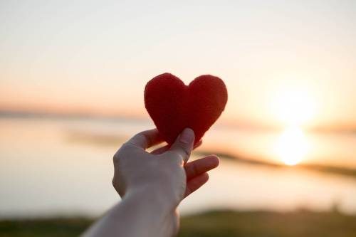 shutterstock_1261635541 shutterstock_1261635541