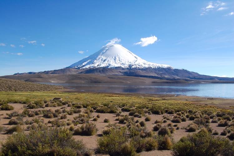 lauca, chile