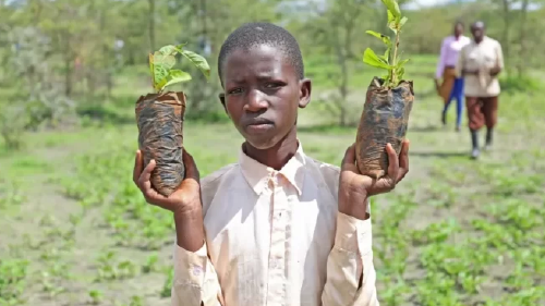 slide 4 750x375 slide 4 750x375