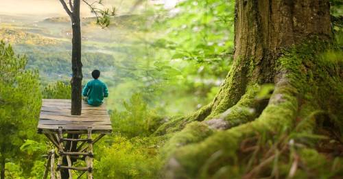 Los proyectos de reforestación más impactantes de la historia