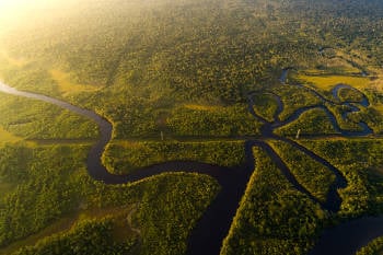 amazonas