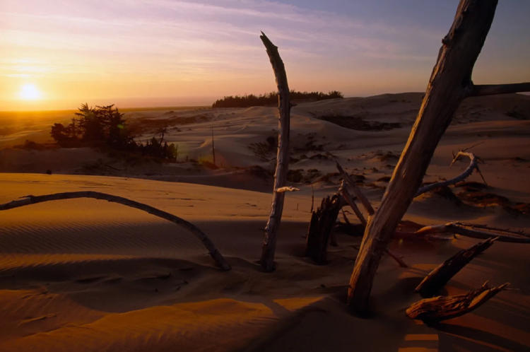 DUNE dunas Oregon 4