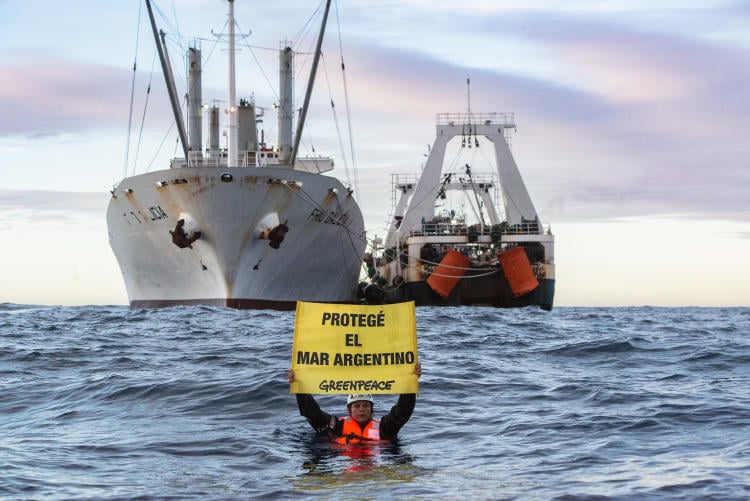 Ship Tour Arctic Sunrise 2022 (13) Transbordo Pesca Ship Tour Arctic Sunrise 2022 (13) Transbordo Pesca