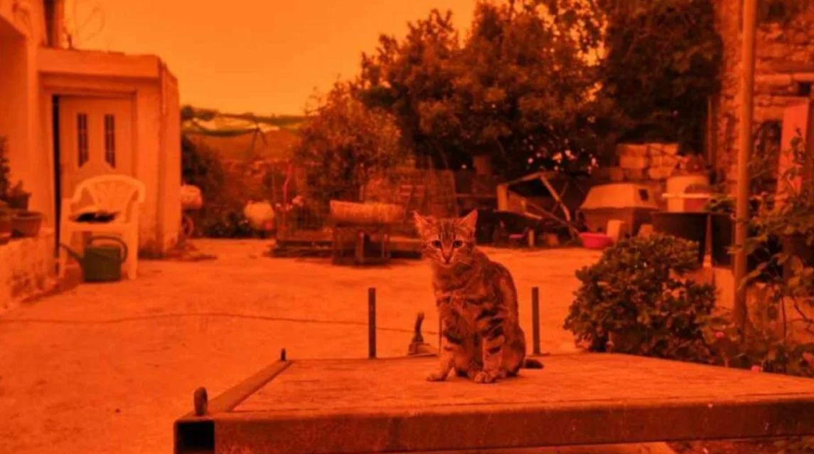 Grecia lluvia de sangre