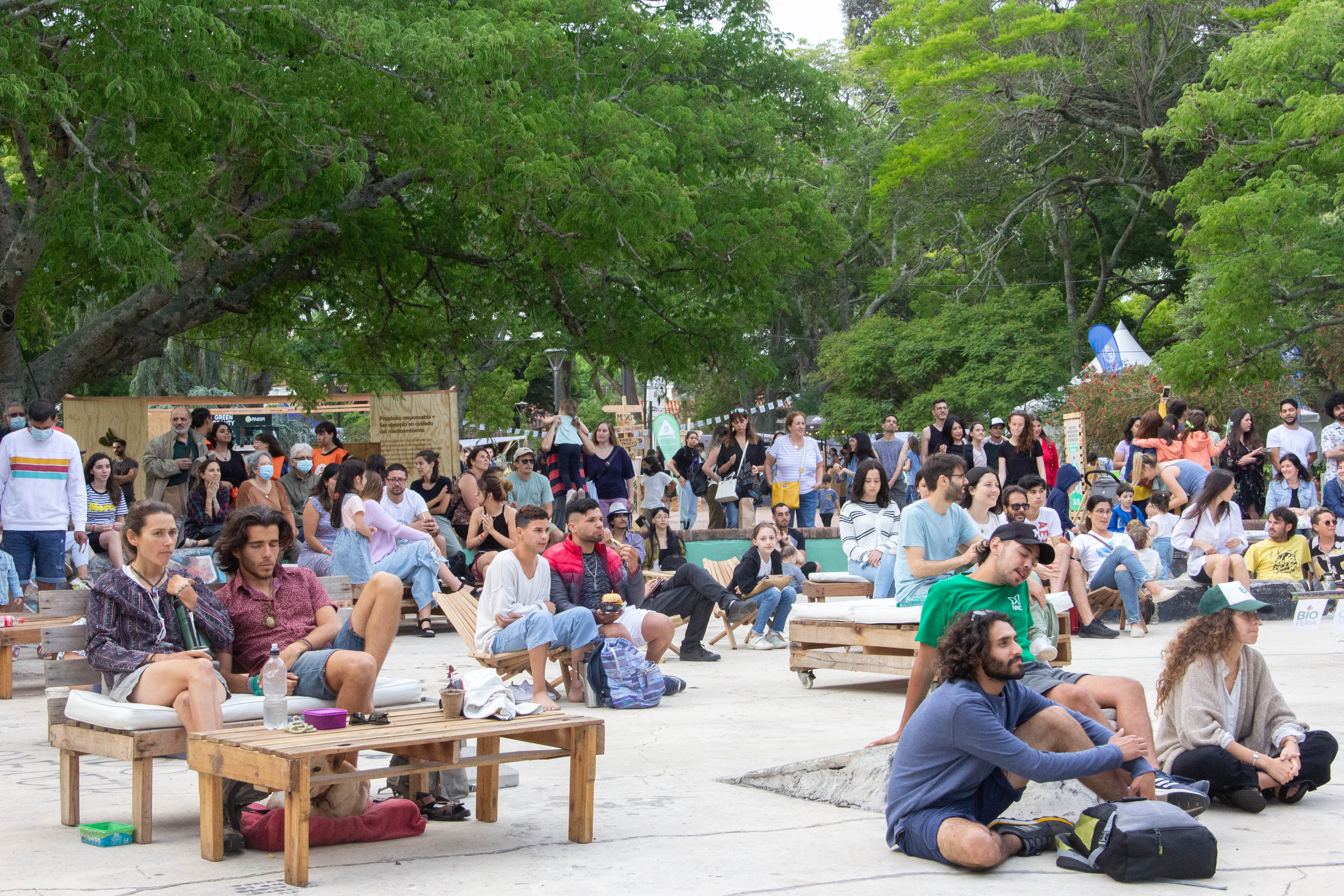 IMG_5693 (1) IMG_5693 (1)