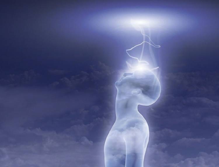 glándula pineal glándula pineal