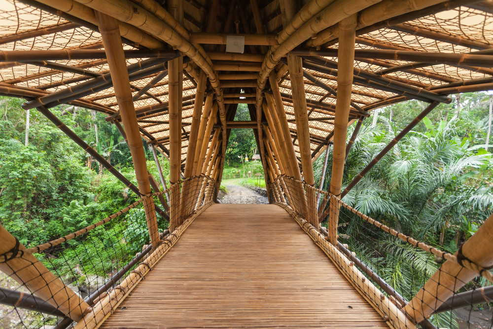 bali escuela bali escuela