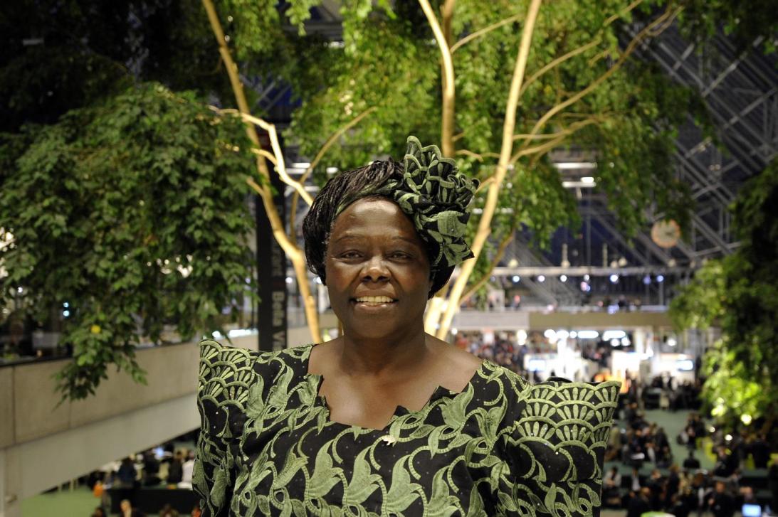 Wangari Maathai Wangari Maathai