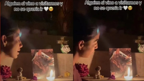 gatito dia de muertos gatito dia de muertos