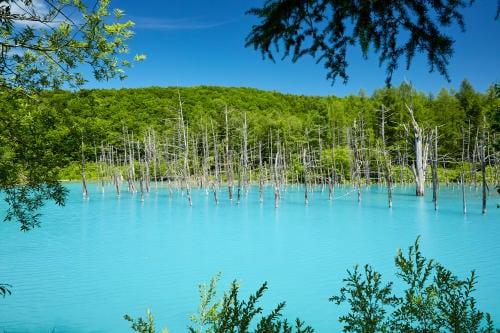 curiosidades blue pond curiosidades blue pond