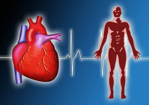 ¿Sabías que existe el síndrome del corazón roto?