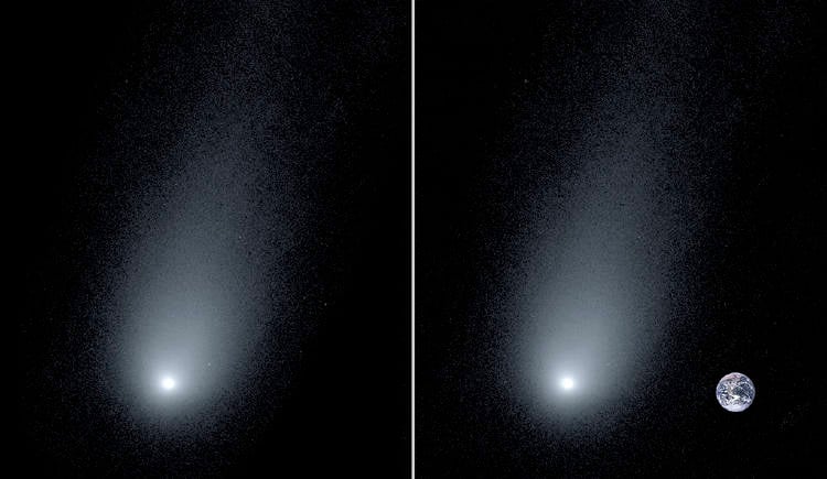 cometa borisov