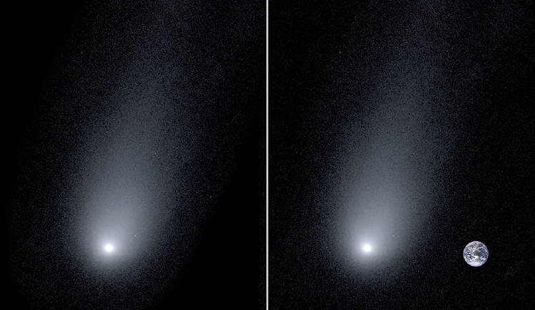 cometa borisov cometa borisov