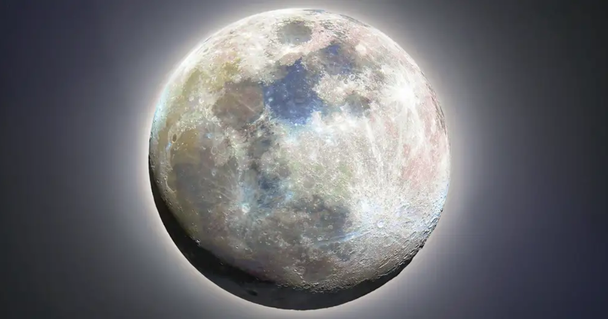 Collage portadas notas(5) Collage portadas notas(5)