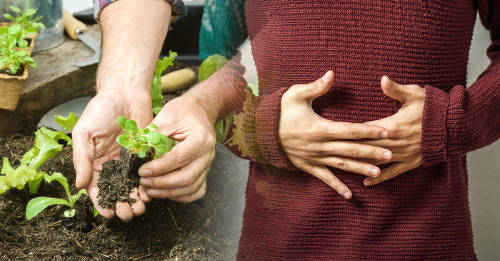 Un nuevo informe señala las claves de la alimentación para cuidar al planeta