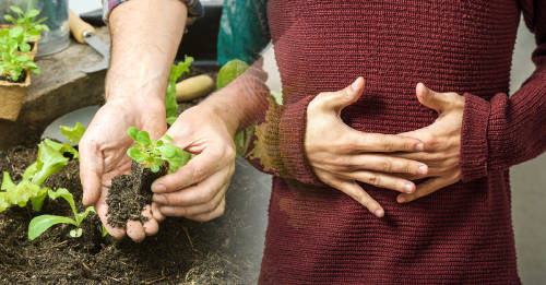 nuevo informe clave alimentacion cuidar planeta