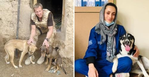 paul farthing paul farthing