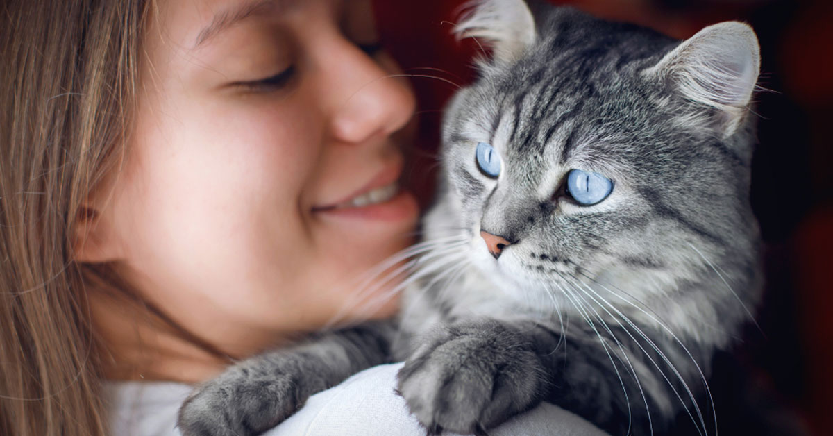 pueden gatos predecir muerte pueden gatos predecir muerte