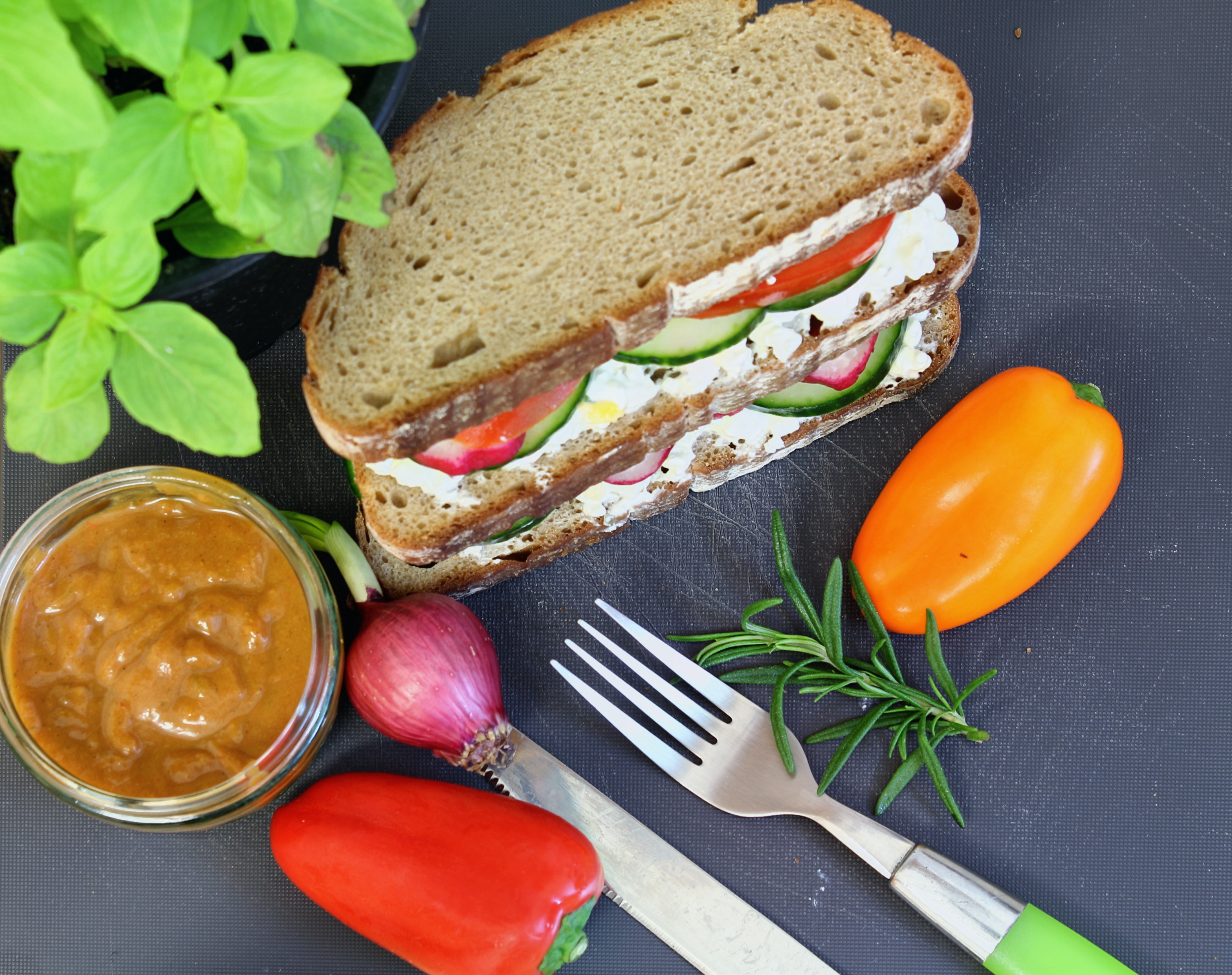 Datos curiosos sobre el veganismo