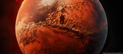 66565379_1004 66565379_1004