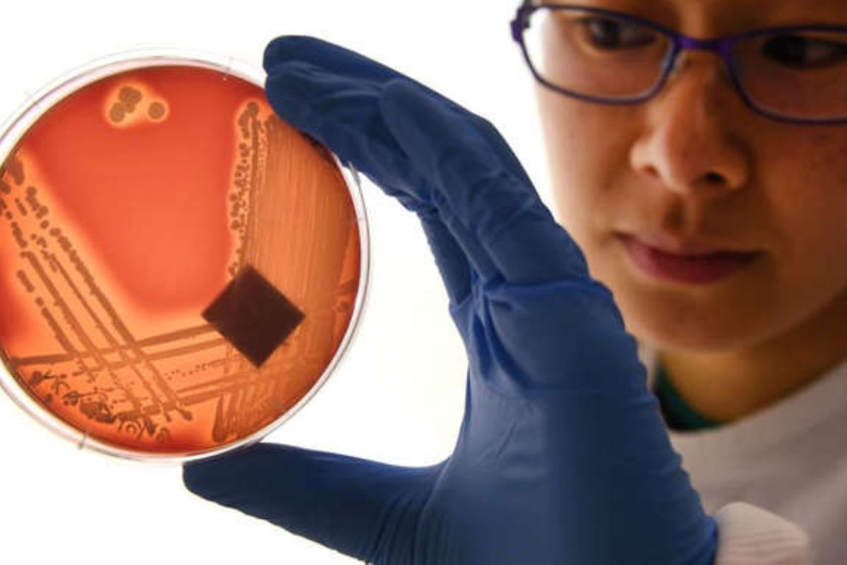 Un estudio financiado por el gobierno del Reino Unido muestra que si las autoridades no actúan para combatir la amenaza de las superbacterias ©The Daily Digest