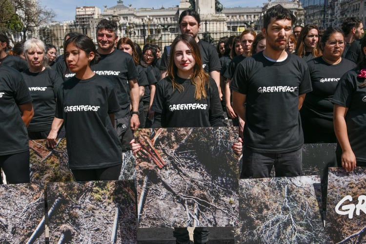 Voluntarios Greenpeace