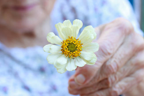 A los 118 años, la anciana más longeva del mundo revela las claves para vivir má
