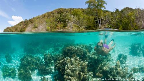 63505329_303 63505329_303