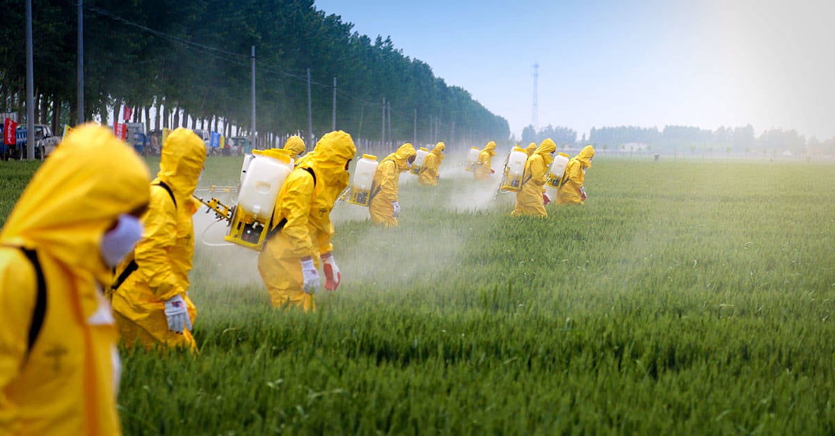 Alemania prohibirá el glifosato en 2023 para proteger a las abejas Image result for alemania prohibe glifosato abejas