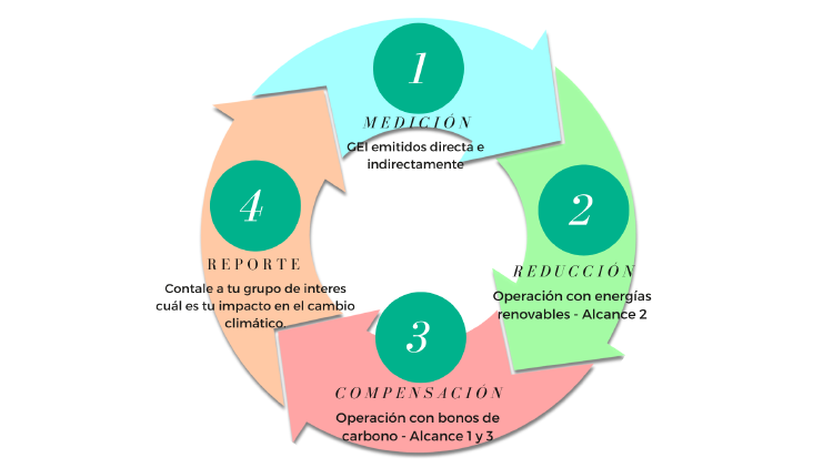 PASOS HACIA LA CARBONO NEUTRALIDAD CIRCULAR