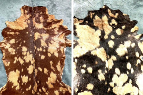 pieles Imagen: Pinterest