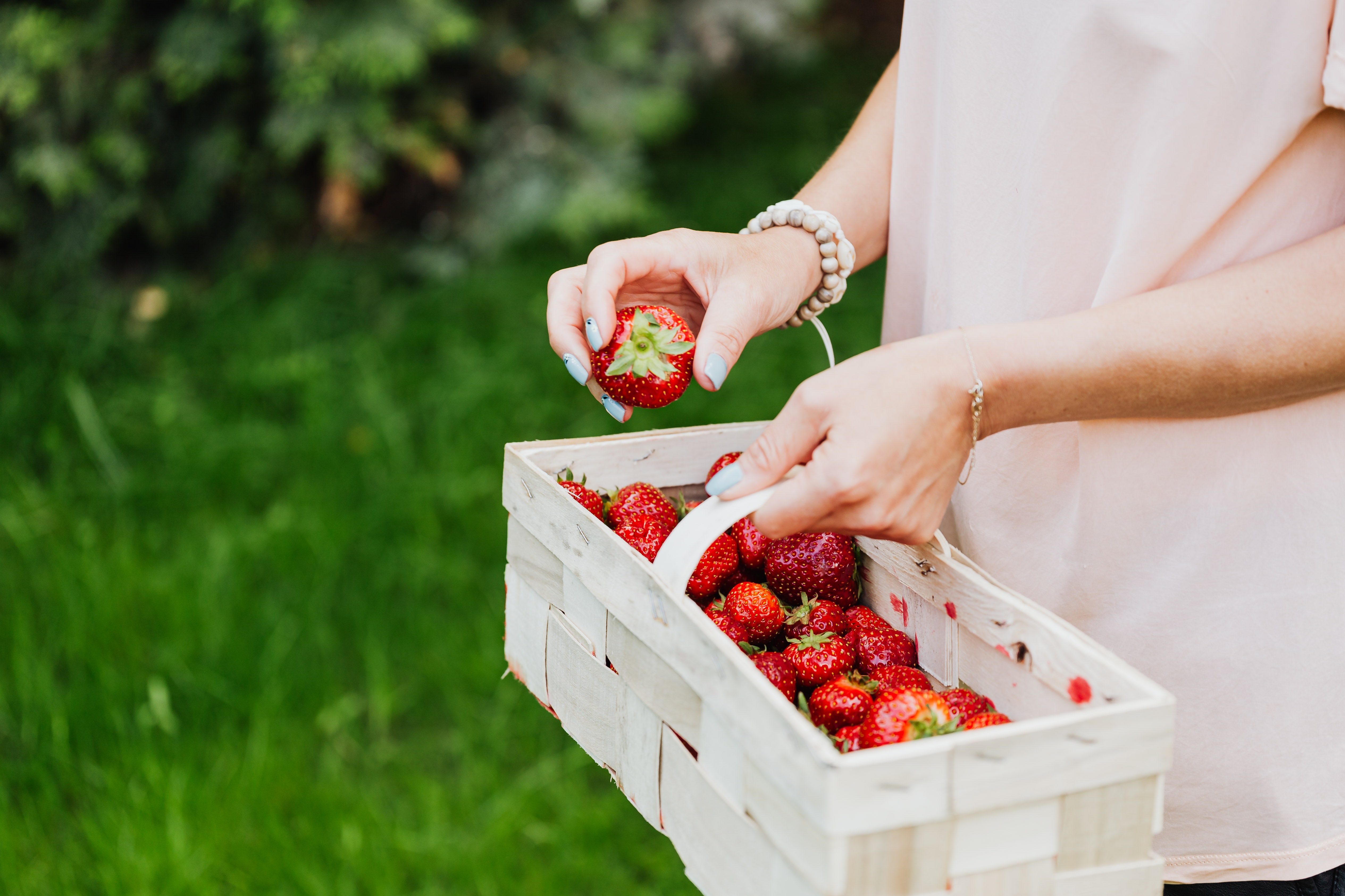 Mujer sosteniendo canasta con fresas frutillas