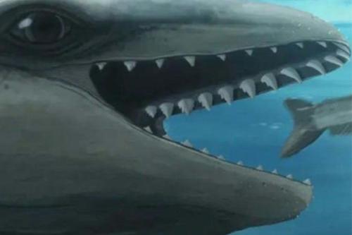 ballena La preocupación y la inquietud invaden a toda la comunidad científica tras el descubrimiento de una nueva especie fósil de pequeña ballena. (msn.com)