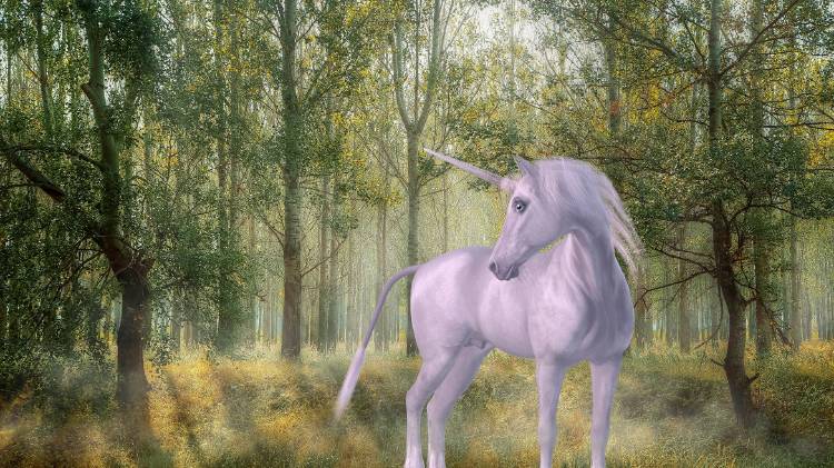 Ilustración de un unicornio blanco en un bosque