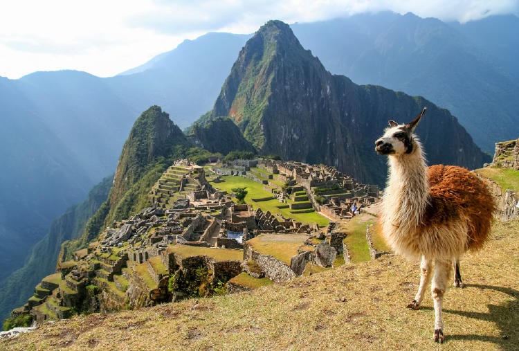 machu picchu