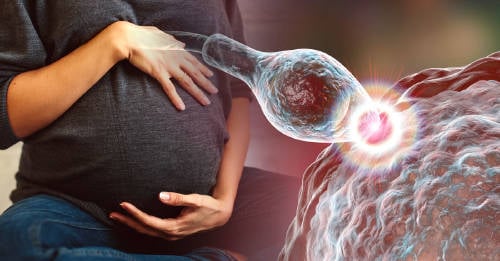 8 remedios naturales mejorar fertilidad hombres mujeres