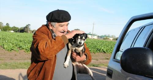 Manuela la perrita de Pepe Mujica que nos dio a todos una lección de humildad
