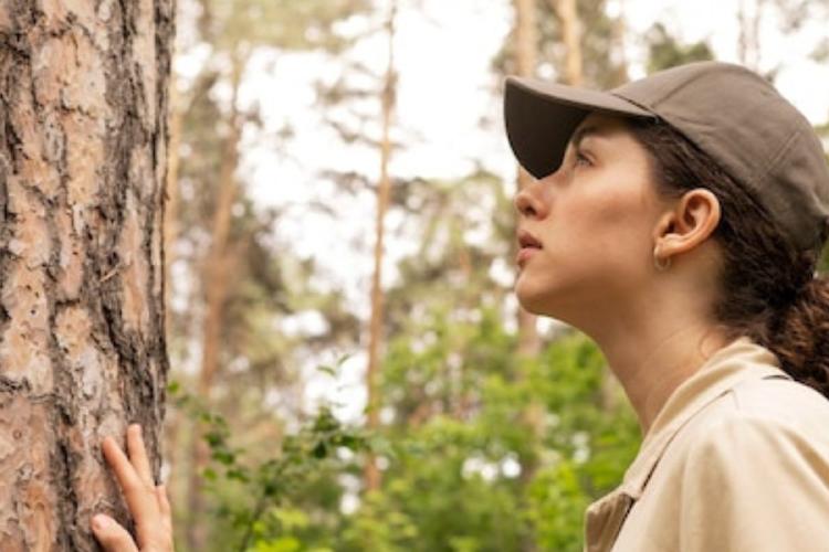 Arboles Los árboles filtran contaminantes del aire, reducen la presencia de partículas peligrosas y liberan oxígeno, ese que vos y yo respiramos cada día. Se habla mucho de “los pulmones del planeta”, y sí, puede sonar a cliché, pero es una definición ajustada a la realidad.