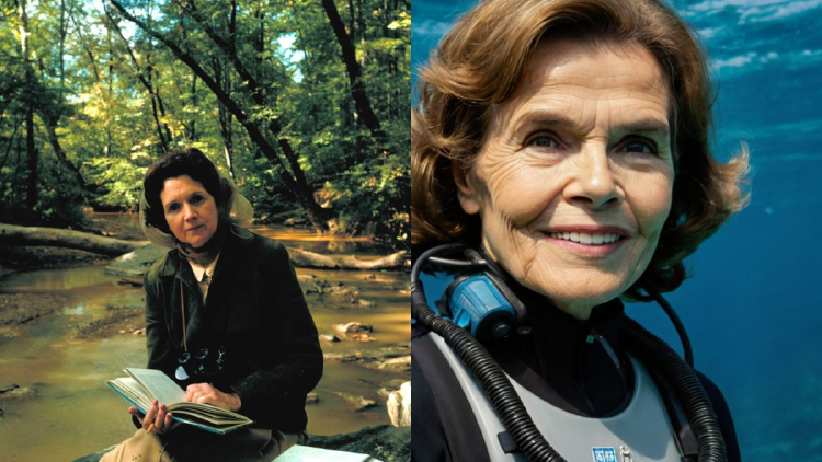 mujeres ecológicas Algunos perfiles femeninos, tanto del pasado como del presente, demostraron con su valentía y trabajo incansable cómo la lucha por la naturaleza y el medio ambiente está intrínsecamente vinculada con la lucha por la justicia social,. (Foto: Pinterest).