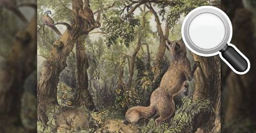 TEST: En esta imagen hay rostros y animales ocultos (si los descubres eres capaz de develar cualquier cosa) TEST: En esta imagen hay rostros y animales ocultos (si los descubres eres capaz de develar cualquier cosa)