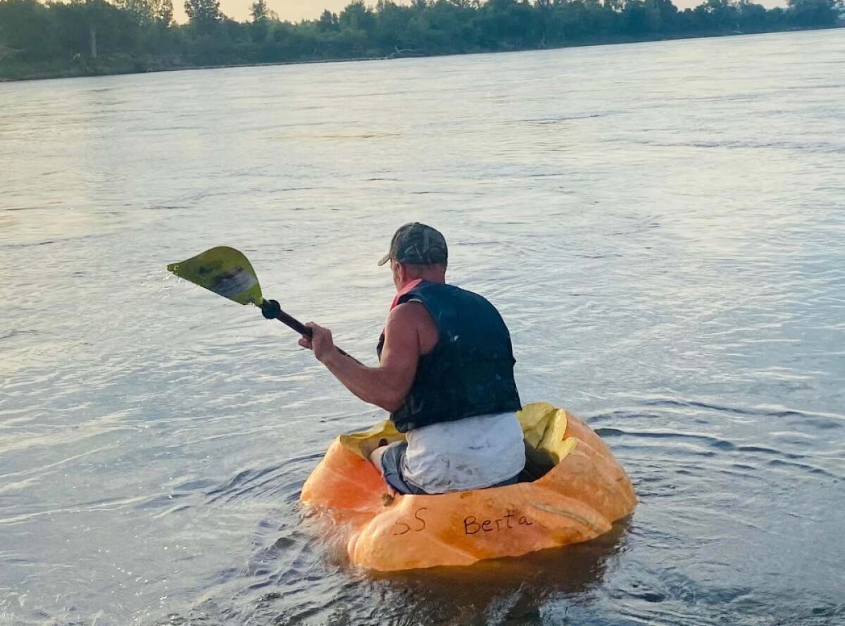 calabaza gigante2 calabaza gigante2