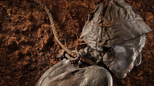 momia Hombre de Tollund momia Hombre de Tollund