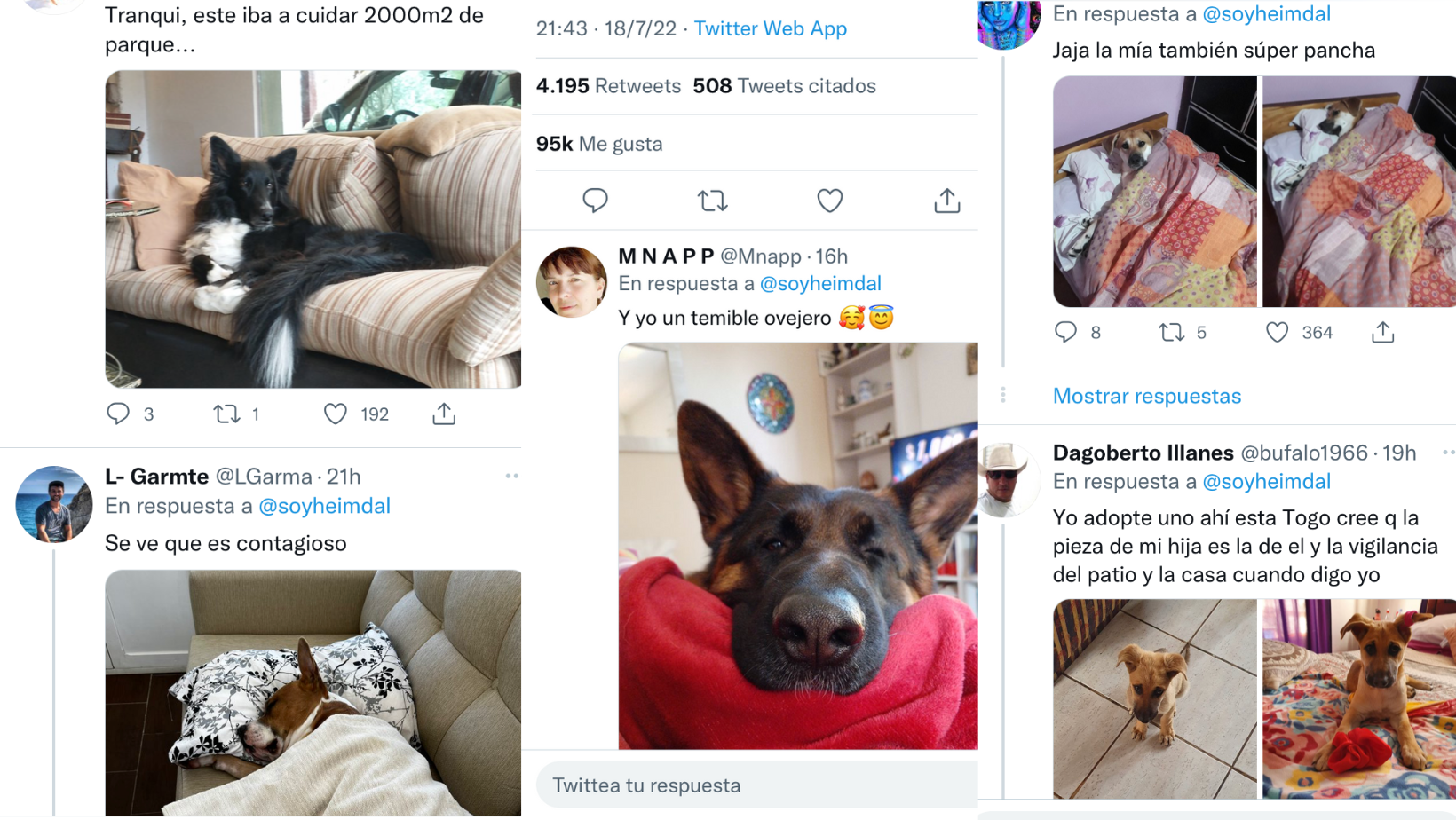 _portada bioguia (12) _portada bioguia (12)